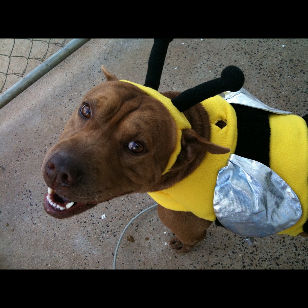 Meet your Posher, Maureen